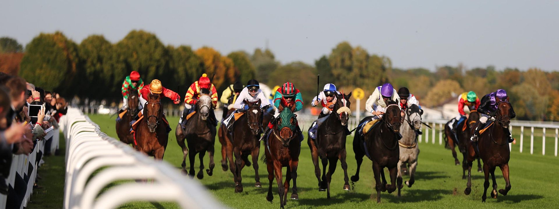 Sales & Racing Festival